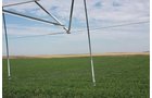 Property photo 2 - LAND AUCTION, 3255+/- Acres offered in 13 Tracts